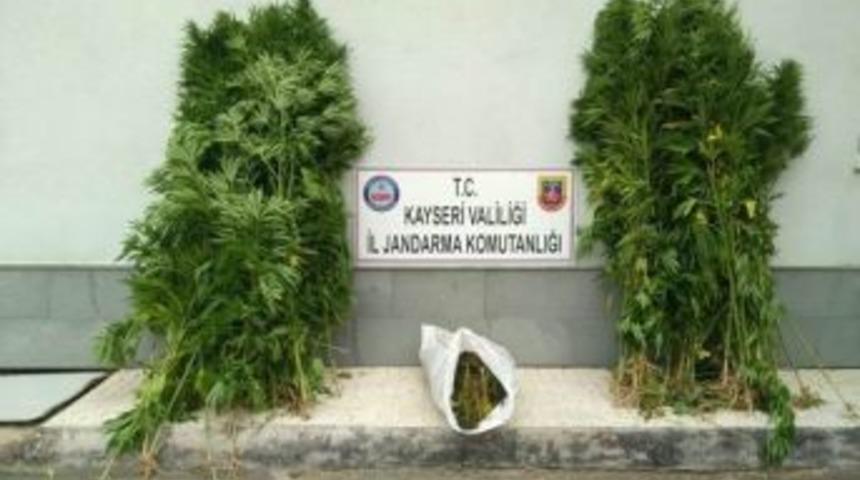 B&uuml;nyan&rsquo;da Esrar Operasyonu