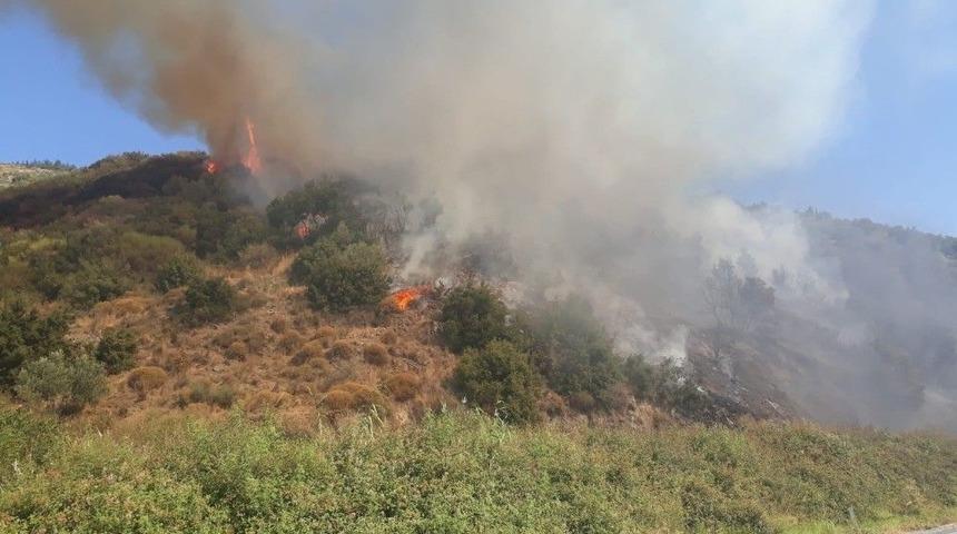 S&ouml;ke&rsquo;de Arazi Yangını