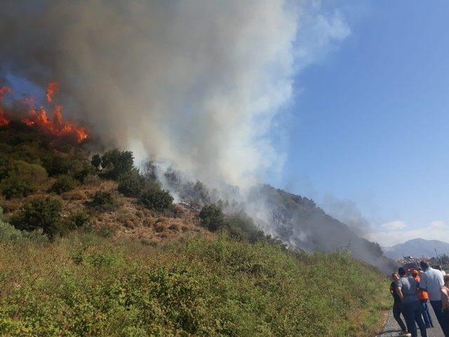 Söke’de Arazi Yangını