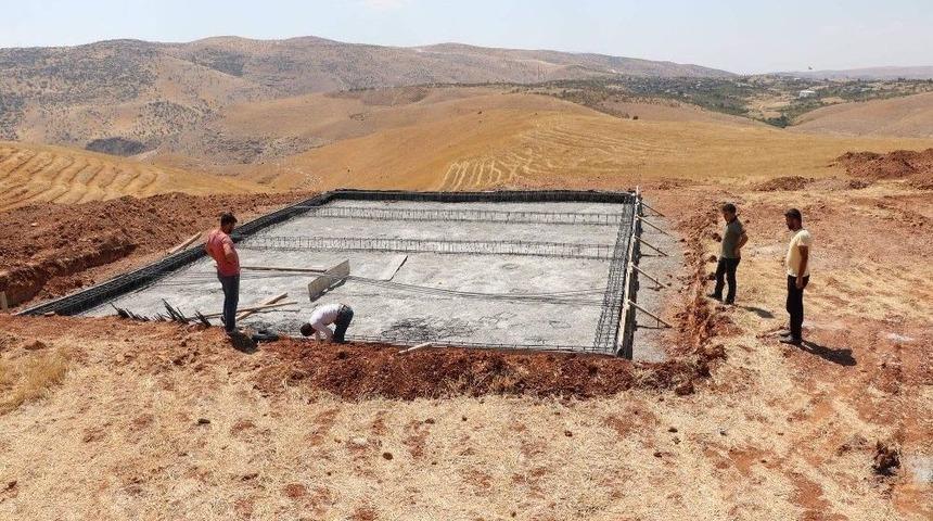 Siirt&rsquo;te Sokak Hayvanları İ&ccedil;in Barınak Yapımına Başlandı