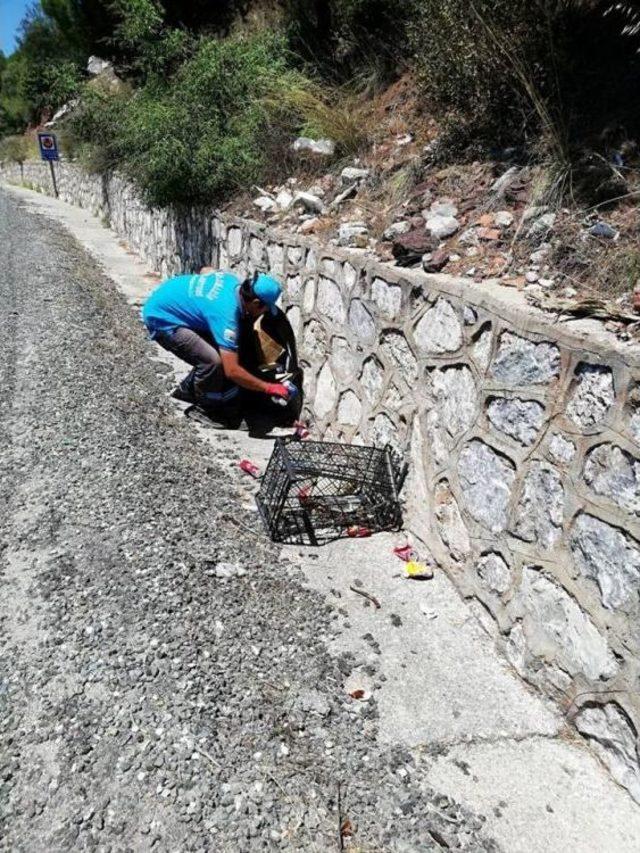 Karayollarında Temizlik Çalışması Yapıldı