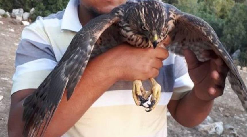 Öldürülmekten Kurtardığı Doğanı Doğaya Saldı