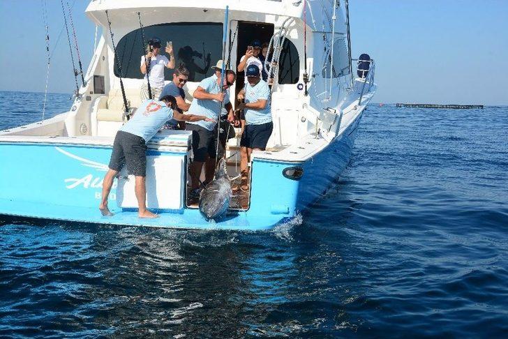 Ünlü İş Adamlarının Katıldığı Balık Turnuvasında 118 Kiloluk Orkinos Tutuldu G3