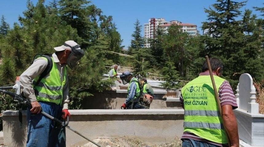Belediye Niğde&rsquo;yi Yeşillendiriyor