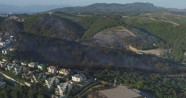 Kül Olan Ormana Çabuk Tutuşmayan Ağaçlar Dikilecek