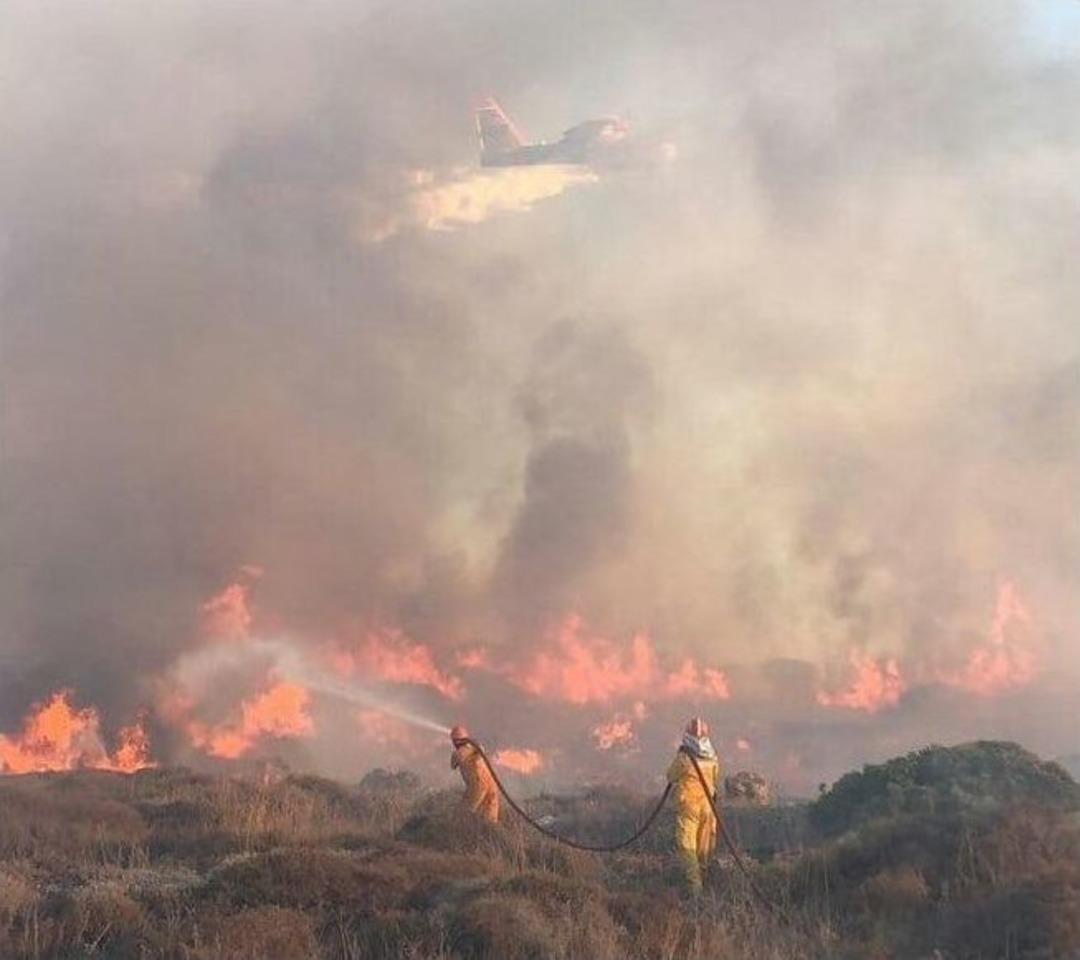 Bodrum&rsquo;da &Ccedil;ıkan Yangında 40 Hektarlık Alan K&uuml;l Oldu