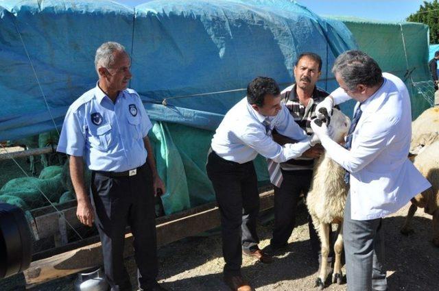 Yüreğir’de Kurban Kesim Ve Satış Yerleri Belirlendi