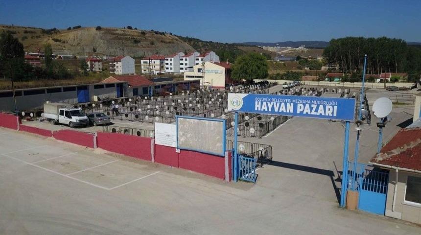 Hayvan Pazarında Hazırlıklar Tamamlandı