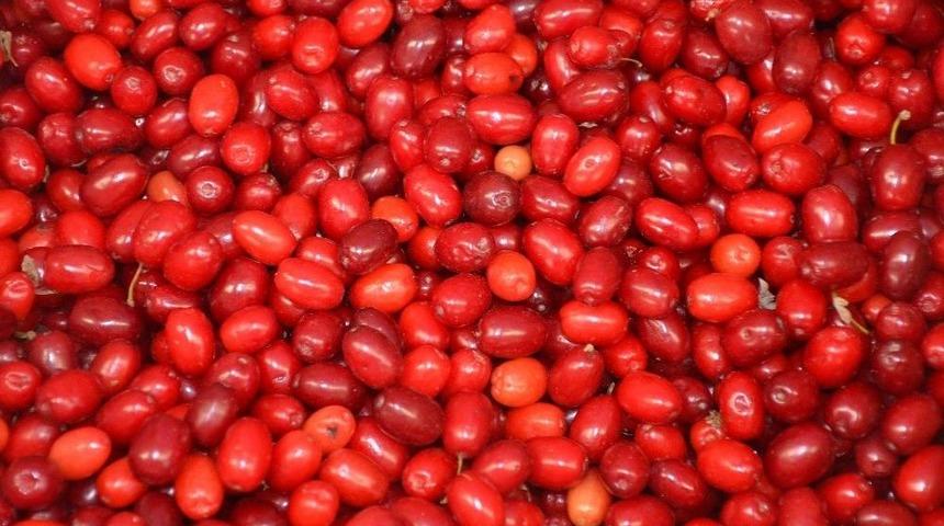 Her Derde Deva Yerli Kızılcık Pazar Tezgahlarında