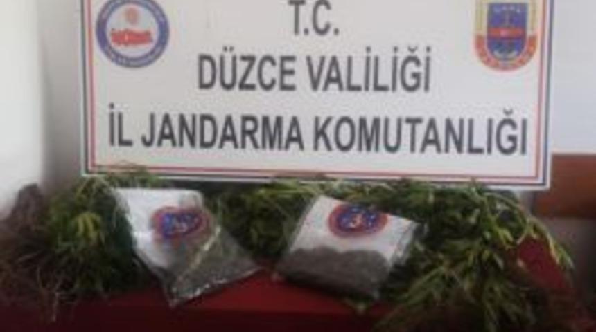 D&uuml;zce&rsquo;de Jandarma&rsquo;dan Uyuşturucu Operasyonu