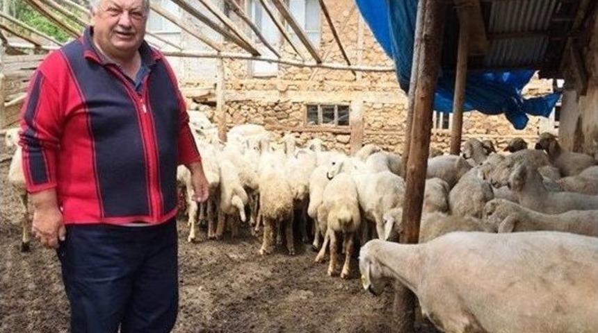 Orman Köylüsüne Destek Artarak Devam Ediyor