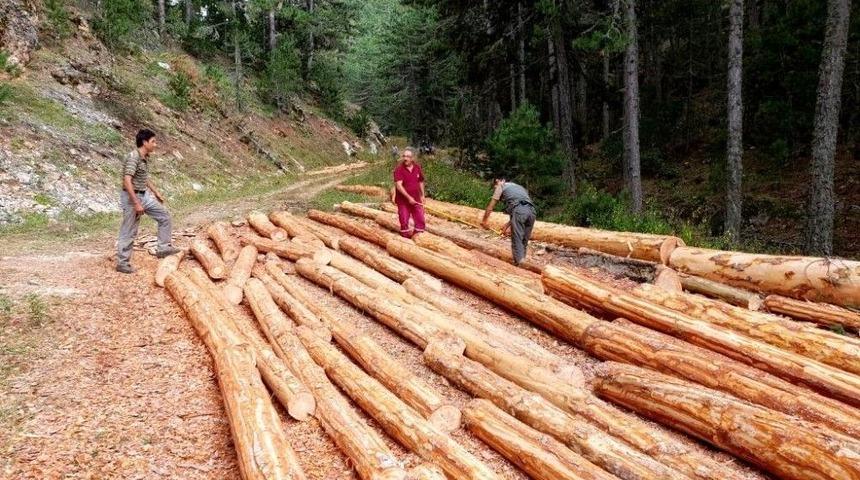 K&ouml;yl&uuml;ler 70 Hektar Orman Sahasında &Uuml;retim Ger&ccedil;ekleştirdi