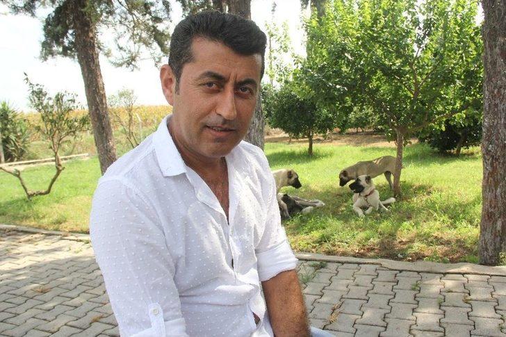 Bu Köpeği Bulana Antalya’da Bir Hafta Tatil G3