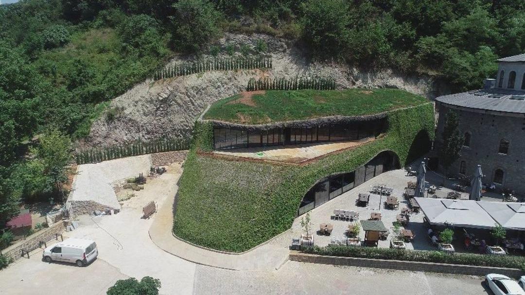 Trabzon&rsquo;da 450 Kişilik &rsquo;hobbit Evi&rsquo; Yapıldı