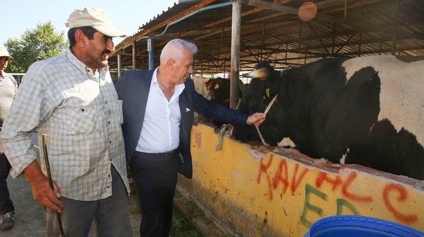 Nilüfer Kurban Bayramına Hazır