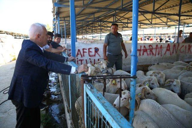 Nilüfer Kurban Bayramına Hazır