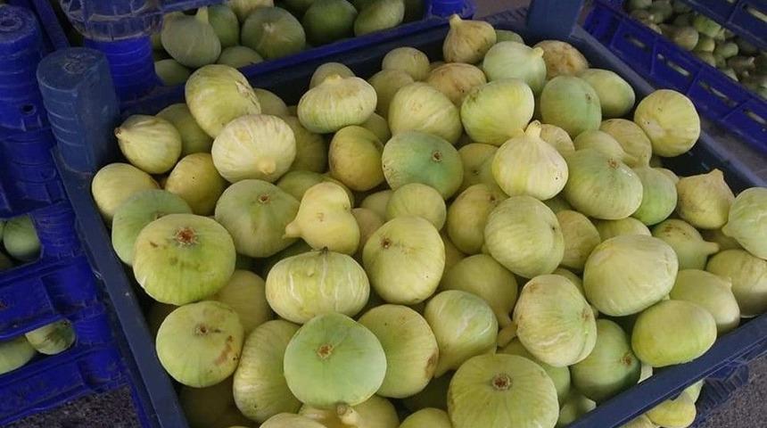 İncir Üreticisini Güldürüyor