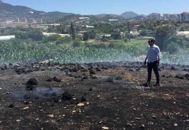 Alanya’da Otluk Alanda Yangın Çıktı