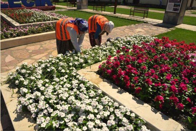 Park Ve Bahçeler Müdürlüğü Kenti Güzelleştiriyor