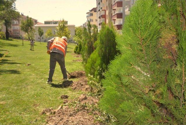 Park Ve Bahçeler Müdürlüğü Kenti Güzelleştiriyor