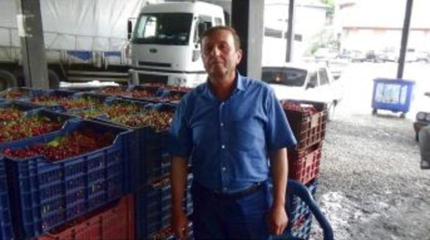 Kiraz Ve Vişnede Hayal Kırıklığı