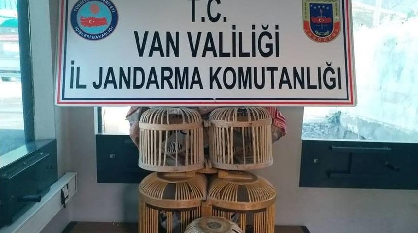 Van&rsquo;da Kafes Avcılığı Yapan 2 Kişiye Para Cezası Verildi