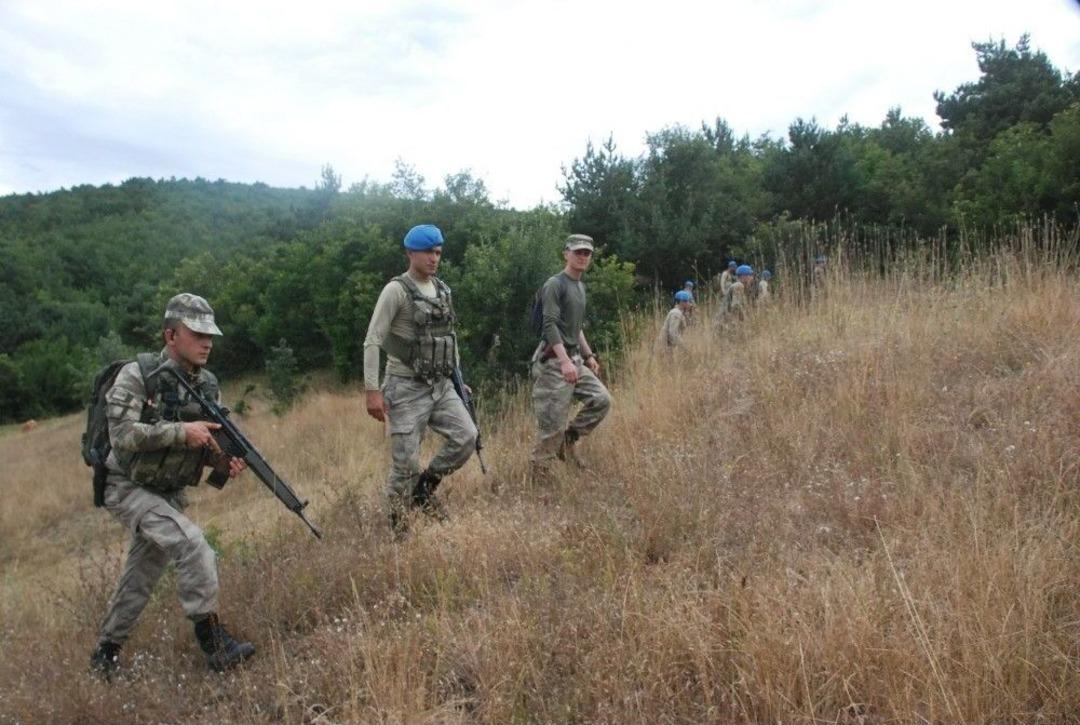 Kayıp Evrim İ&ccedil;in Kurtlar&rsquo;dan Sonra Boralar Da B&ouml;lgede