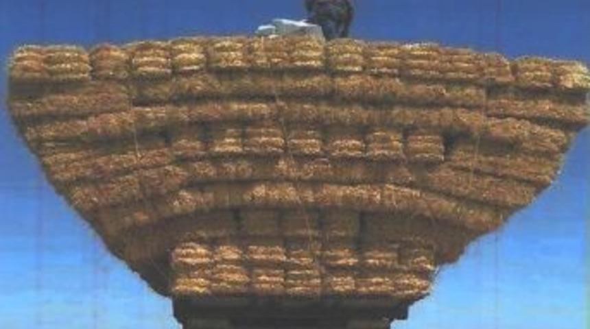 Saman Balyaları Trafiğin Kabusu Oluyor