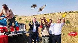 Yozgat’ta Bin Keklik Doğaya Salındı