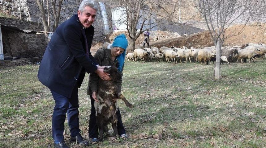 G&uuml;m&uuml;şhane&rsquo;de Gen&ccedil; &Ccedil;ift&ccedil;i Projesi Y&uuml;zleri G&uuml;ld&uuml;r&uuml;yor