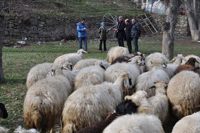 Gümüşhane’de Genç Çiftçi Projesi Yüzleri Güldürüyor