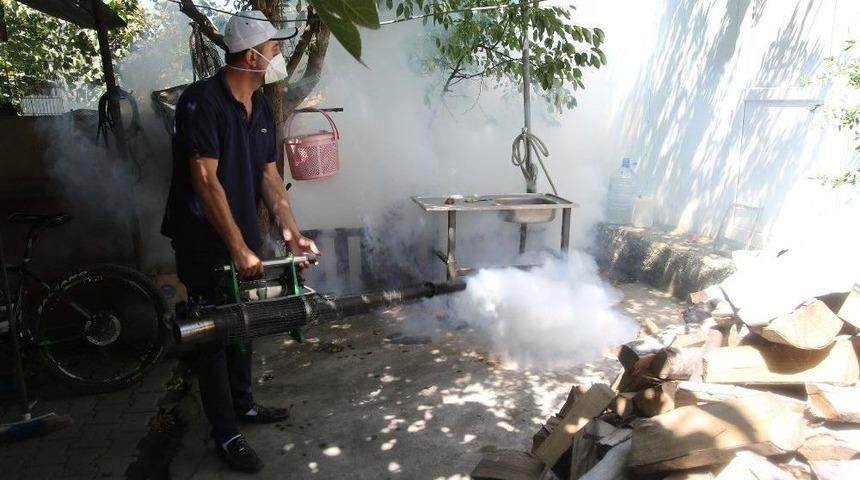 Akyazı Belediyesi Sağlık İşleri Yoğun Tempo &Ccedil;alışıyor