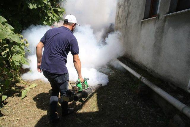 Akyazı Belediyesi Sağlık İşleri Yoğun Tempo Çalışıyor