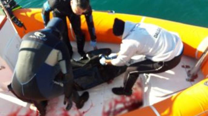 İki G&uuml;nd&uuml;r Aranan Gencin Cesedi Denizde Bulundu