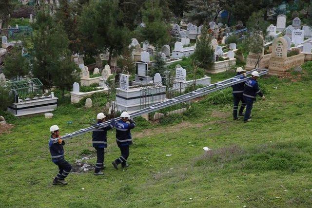 Siirt’te Mezarlıklarda Aydınlatma Çalışması Başlatıldı