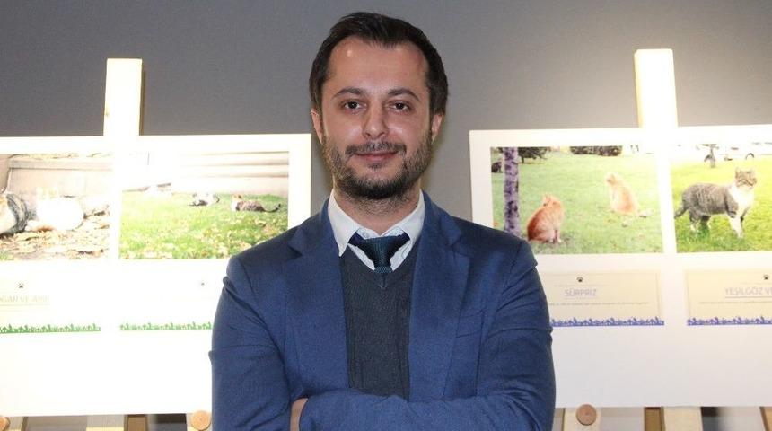 Sokağımıza İz Bırakan Kediler