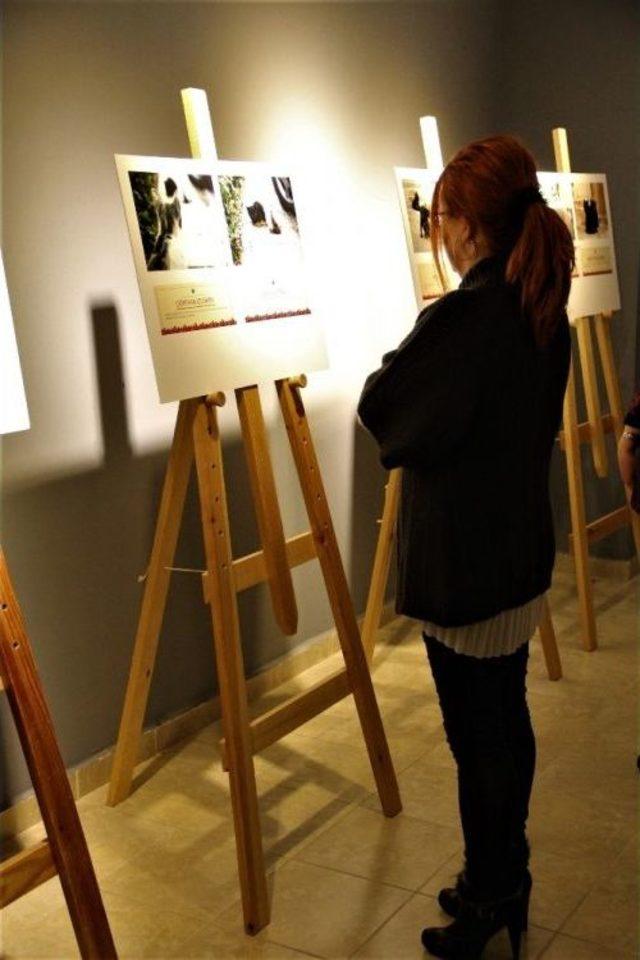 Sokağımıza İz Bırakan Kediler 3