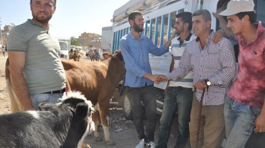 Kurbanlıklar Pazardaki Yerini Aldı