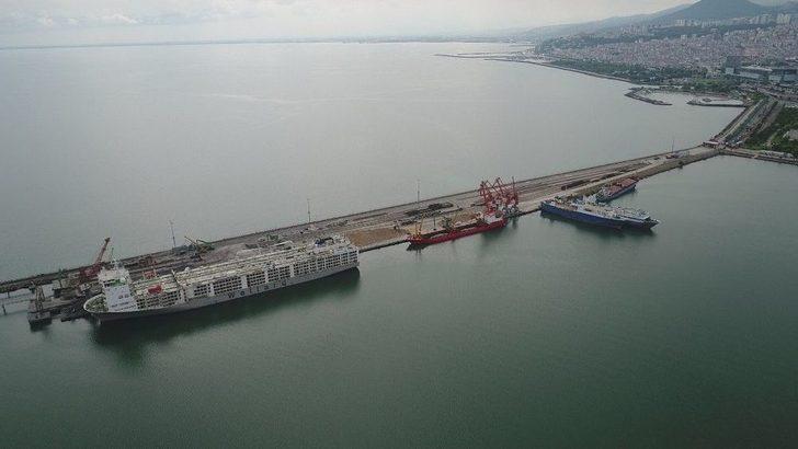 Angusların Kokusu Şehri Etkisi Altına Aldı G1