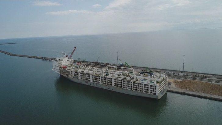 Angusların Kokusu Şehri Etkisi Altına Aldı G2