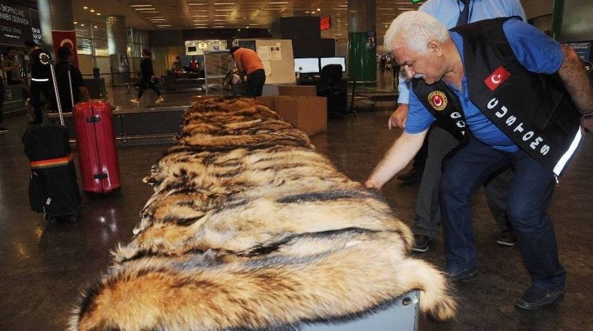 Atat&uuml;rk Havalimanı&rsquo;nda Ka&ccedil;ak K&uuml;rk Operasyonu