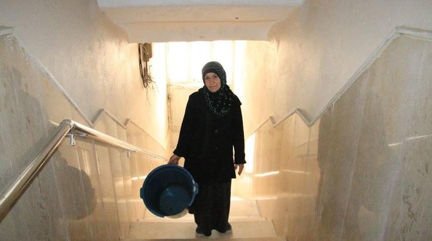 Çocuklarının Hem Anne Hem De Babası