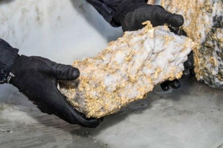 Bu kayanın bedeli 6,6 milyon dolar! G1