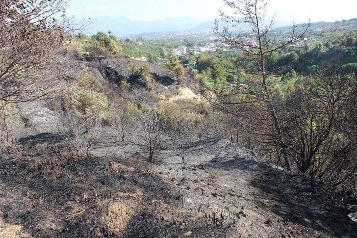 Defne’de Arazi Yangını G4