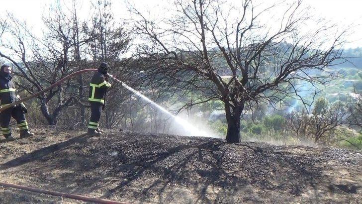 Defne’de Arazi Yangını G5