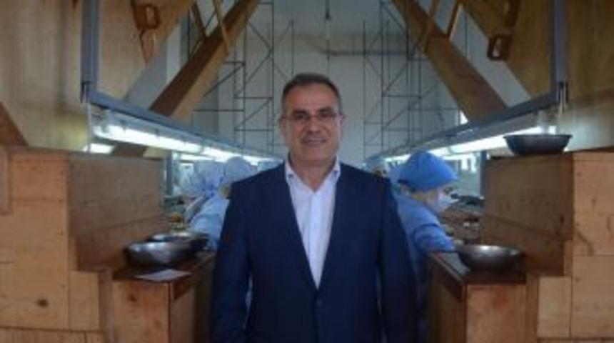 Fındıktan Verim Sorunu