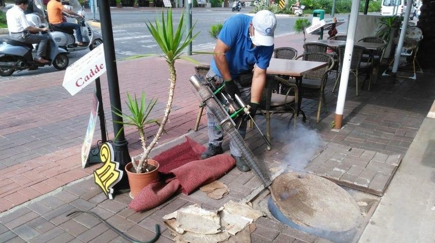 Alanya&rsquo;da Sinekle M&uuml;cadele Hız Kesmiyor