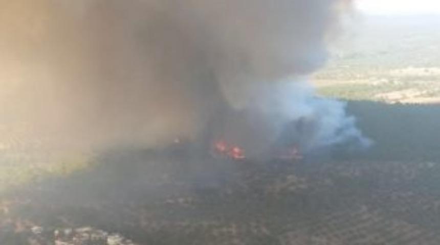 &Ccedil;anakkale&rsquo;de Orman Yangını