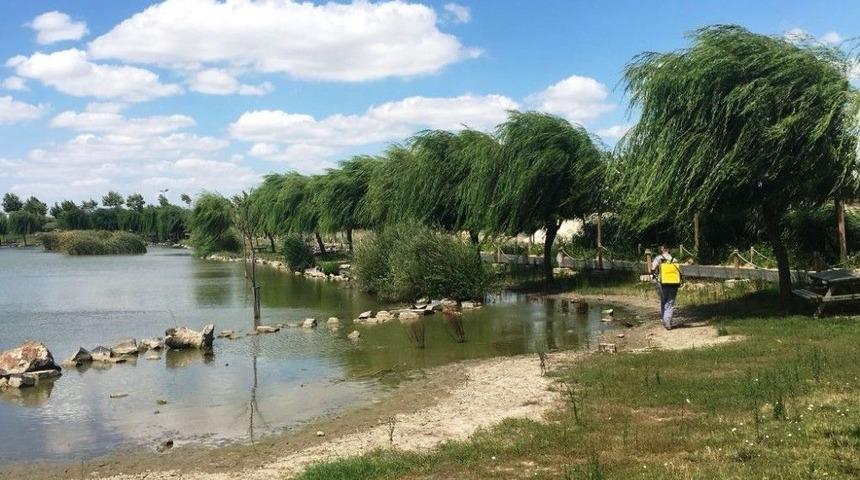 Larva Mücadelesi Aralıksız Devam Ediyor