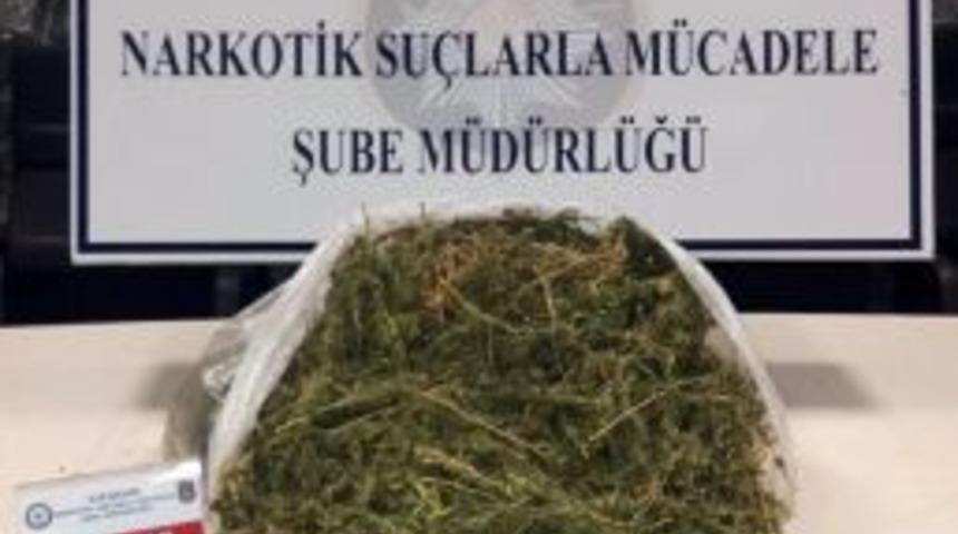 Muz Kutularına Gizlenmiş 3 Kiloya Yakın Esrar Ele Ge&ccedil;irildi